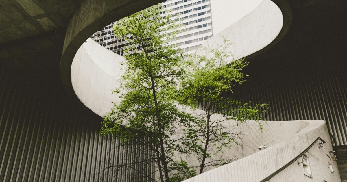 Why BMS is Thriving in the UK